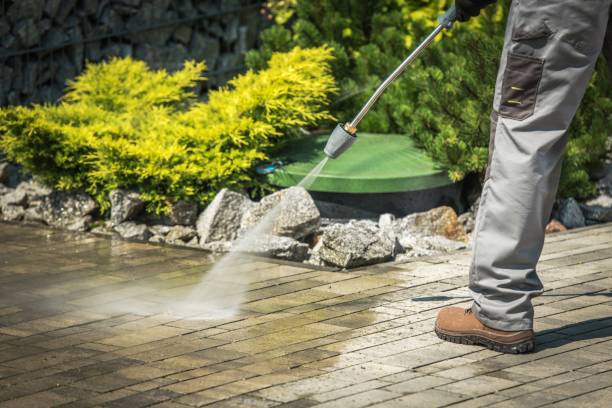 Best Spring Cleaning  in Orono, MN
